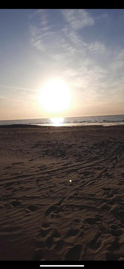 Appartement Rdc Avec 1 Chambre A 5 Metres A Pied De La Digue De La Panne ภายนอก รูปภาพ
